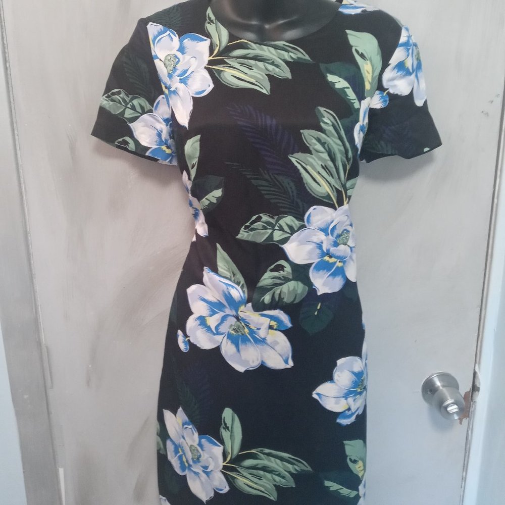 Banana Republic Blue Magnolia dress sz 4
